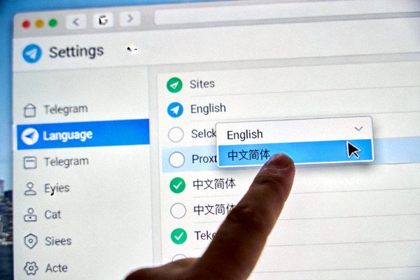 Telegram电脑版语言设置界面截图 - 展示如何选择中文简体选项